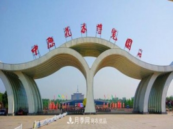 鄢陵：云上2020年中原花木交易博覽會(huì)9月26日開(kāi)幕