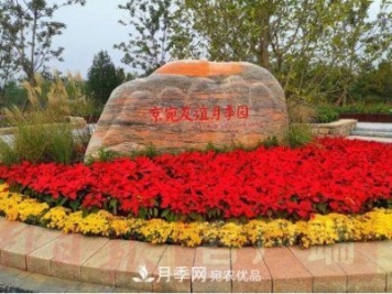 北京京宛友誼月季園，紀(jì)念南水北調(diào)南陽深厚友誼