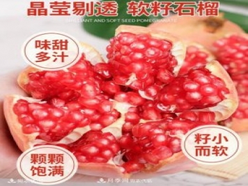 淅川突尼斯軟籽石榴基地批發(fā)價(jià)格，好水果