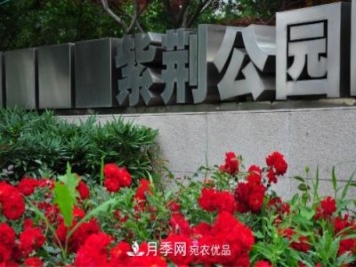 常州紫荊公園走紅，被稱世界月季名園，免門票創(chuàng)記錄