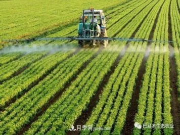 巴旦木生態(tài)農(nóng)業(yè)：河南三門峽為什么適合種植巴旦木？