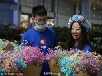 云南昆明：長假“帶火”花卉經濟