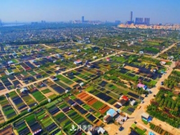 廣東省中山市橫欄鎮(zhèn)，這個(gè)3萬畝的花木之鄉(xiāng)，畝均年產(chǎn)值竟達(dá)10萬元