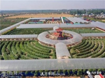 游玩好去處！內(nèi)鄉(xiāng)縣灌漲鎮(zhèn)歐月花海風(fēng)情園盛妝開園
