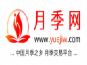 中國月季網(wǎng)，月季品種介紹和養(yǎng)護(hù)知識分享專業(yè)網(wǎng)站