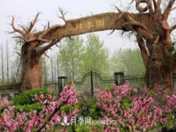月季名園：泗陽(yáng)月季園
