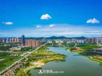 淮南市花、市樹是什么？是月季嗎？