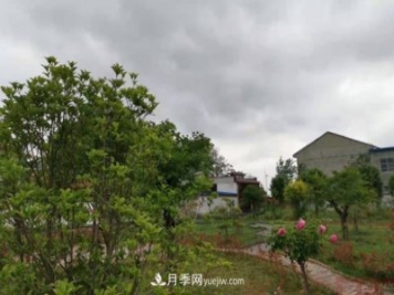 十三五以來，許昌市累計(jì)完成林業(yè)生態(tài)建設(shè)面積120余萬畝