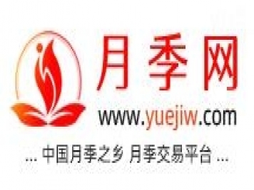 月季網(wǎng)的官網(wǎng)地址是什么？