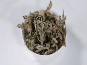 南陽艾草產(chǎn)業(yè)蓬勃發(fā)展的背后原因是為什么？