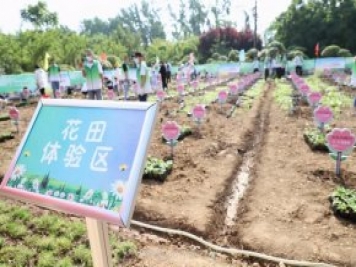 漯河城管園林科研所，邀請400余位市民花田體驗栽花