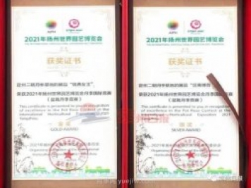 河北定州月季在揚(yáng)州世園會斬獲大獎，一金一銀兩銅！
