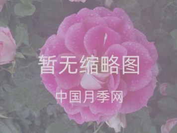 山東壽光蔬菜成功入圍2020年優(yōu)勢特色產(chǎn)業(yè)集群