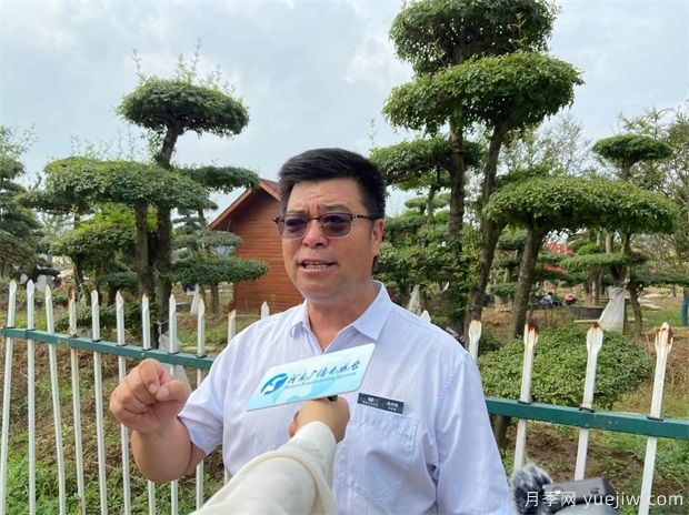 河南鄢陵花木市場(chǎng)助力鄉(xiāng)村振興 朝陽(yáng)產(chǎn)業(yè)帶來(lái)百姓致富路(圖2)