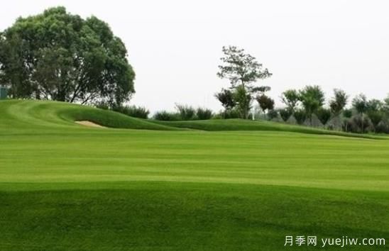 草坪何時(shí)需要澆水？(圖1)