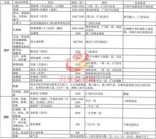 月季病蟲害種類及用藥總結(jié)，就看這張表(圖2)