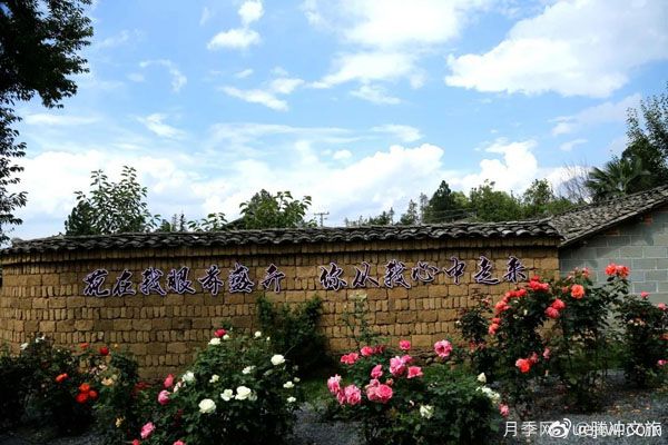 月季與美麗鄉(xiāng)村：保山騰沖老寨子，花在我眼前盛開(圖3)