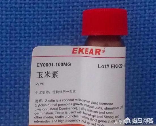 常見的花卉生長調(diào)節(jié)劑都有哪些？它們都起什么作用？(圖3)