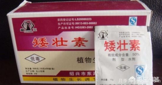 常見的花卉生長調(diào)節(jié)劑都有哪些？它們都起什么作用？(圖4)