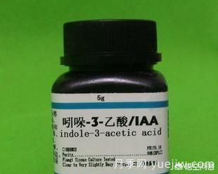 常見的花卉生長調(diào)節(jié)劑都有哪些？它們都起什么作用？(圖2)