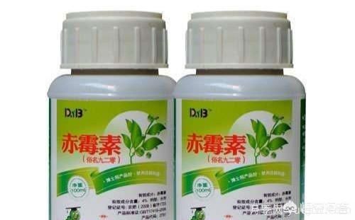 常見的花卉生長調(diào)節(jié)劑都有哪些？它們都起什么作用？(圖1)