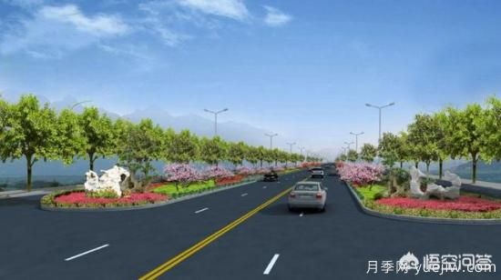 道路綠化苗木一般有哪些？(圖1)