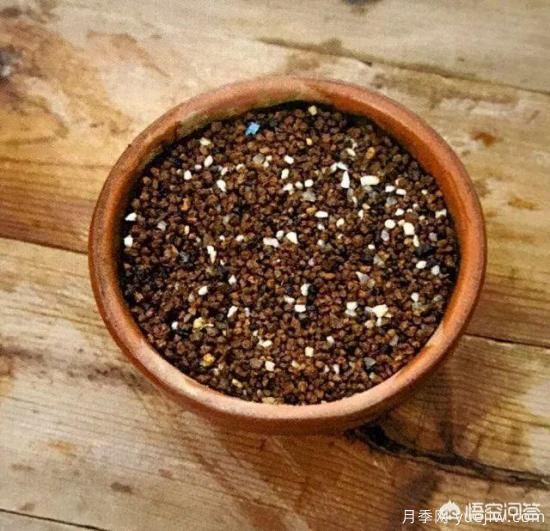 哪些樹種可以做街道綠化樹種？(圖14)