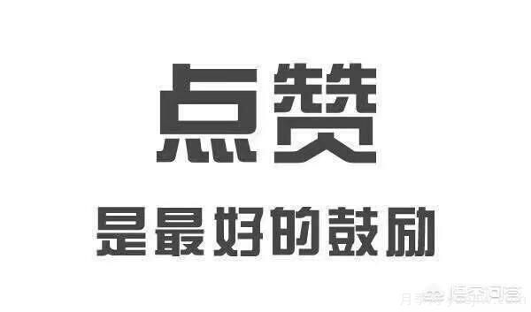 彩葉樹種哪些適合南方種植？表現(xiàn)要好些的！(圖3)