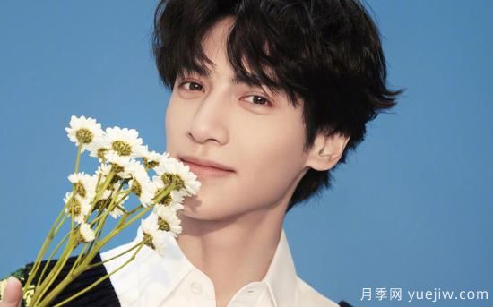 舉例說明什么是園林植物群植？(圖1)