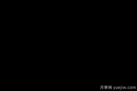 花卉在園林中的應(yīng)用形式和特點是什么？(圖1)