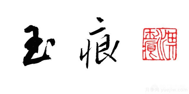 ***香的幾款月季品種是什么？ 什么品種的月季花(圖6)