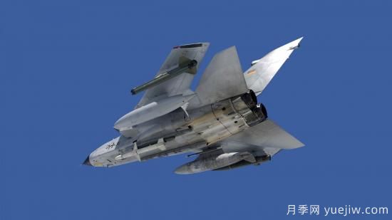 如何了解香檳玫瑰的種植？(圖2)