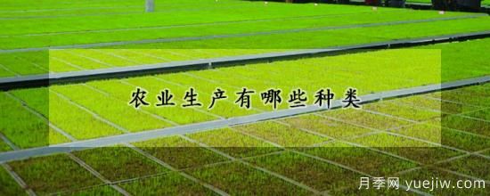 農業(yè)生產有哪些種類(圖1)