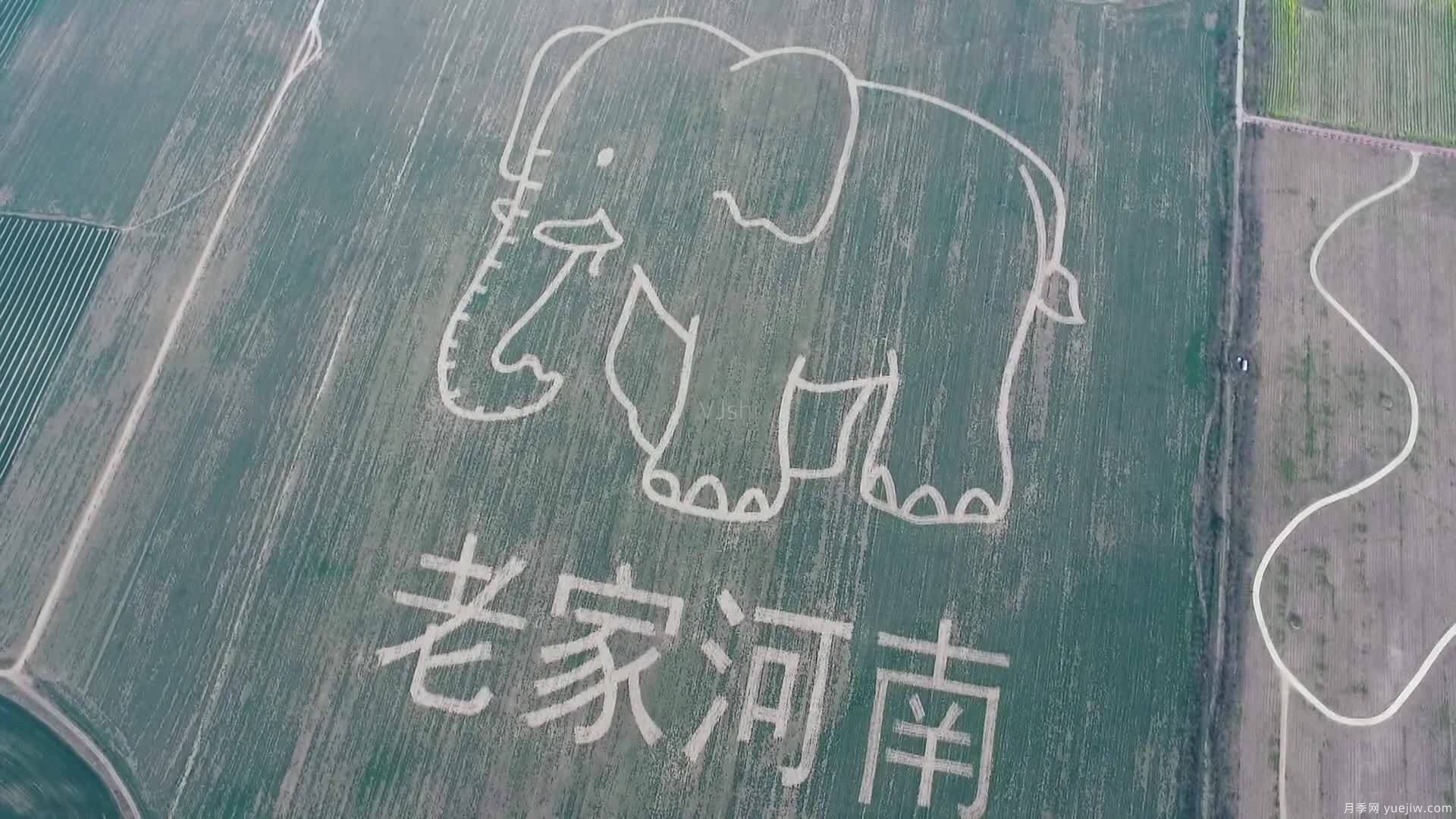 河南為什么被稱(chēng)為“老家河南”？(圖1)