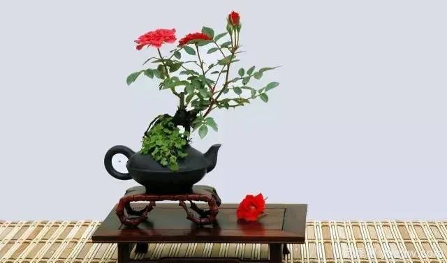 如何制作漂亮的月季盆景？藝術(shù)品來了(圖1)