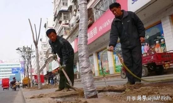 12月份園林養(yǎng)護如何做，才能給全年養(yǎng)護做個好結尾(圖1)