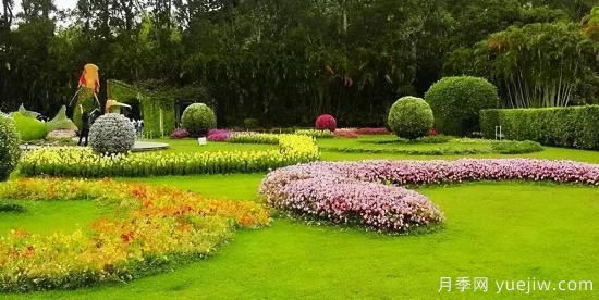 園林人必須知道的100個(gè)花卉基礎(chǔ)知識點(diǎn)(圖3)