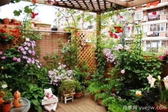 什么是園藝？就是用植物的生命影響人的生命！(圖1)
