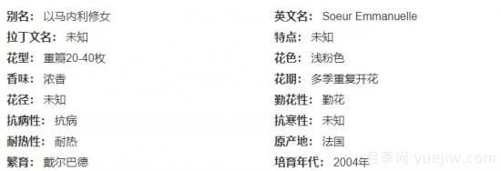 推薦高顏值且好養(yǎng)的10個(gè)藤本月季，看一眼就愛上(圖8)