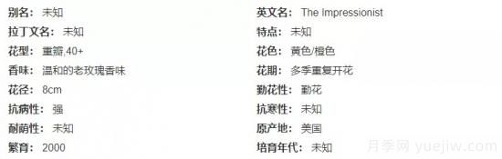 推薦高顏值且好養(yǎng)的10個(gè)藤本月季，看一眼就愛上(圖6)