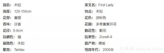 推薦高顏值且好養(yǎng)的10個(gè)藤本月季，看一眼就愛上(圖12)