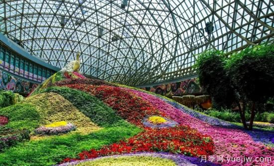 標準體系建設(shè)助力中國花卉產(chǎn)業(yè)提檔升級(圖1)