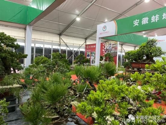 第九屆沭陽花木節(jié) 用顏色經(jīng)濟創(chuàng)造美麗生活(圖4)