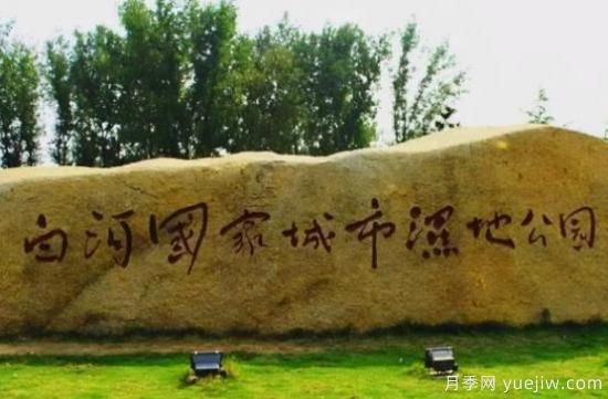 南陽(yáng)白河濕地公園，晨暮讀覽春夏秋冬(圖1)