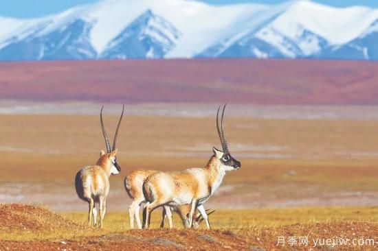 5個(gè)國(guó)家公園 5類別樣景觀(圖1)