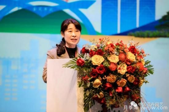 第十九屆中國(guó)（浙江金華）花卉苗木博覽會(huì)開(kāi)幕(圖5)